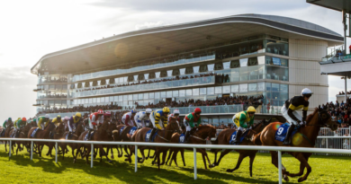 Discover Loughrea's guide to the Galway Races