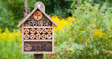 Bug Hotel Workshop at Loughrea Library