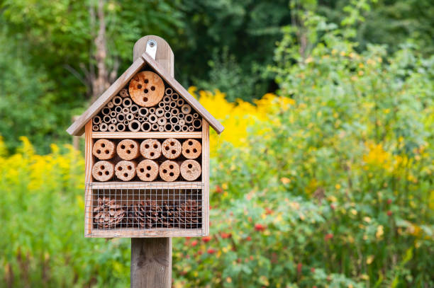 Bug Hotel Workshop at Loughrea Library