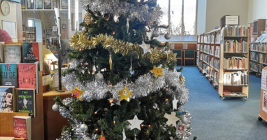 Loughrea Library Festive Movie and Sleigh Workshop