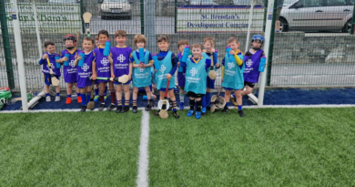 Brogan's totalhealth Pharmacy Supports Loughrea Hurling Club's Under 7 and Under 9 Team