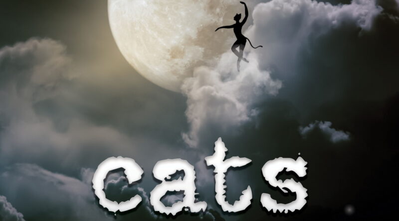 Loughrea Youth Theatre presents Andrew Lloyd Webber's CATS