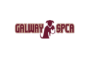 Galway SPCA Opening New Shop in Loughrea