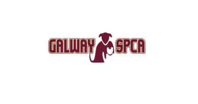 Galway SPCA Opening New Shop in Loughrea